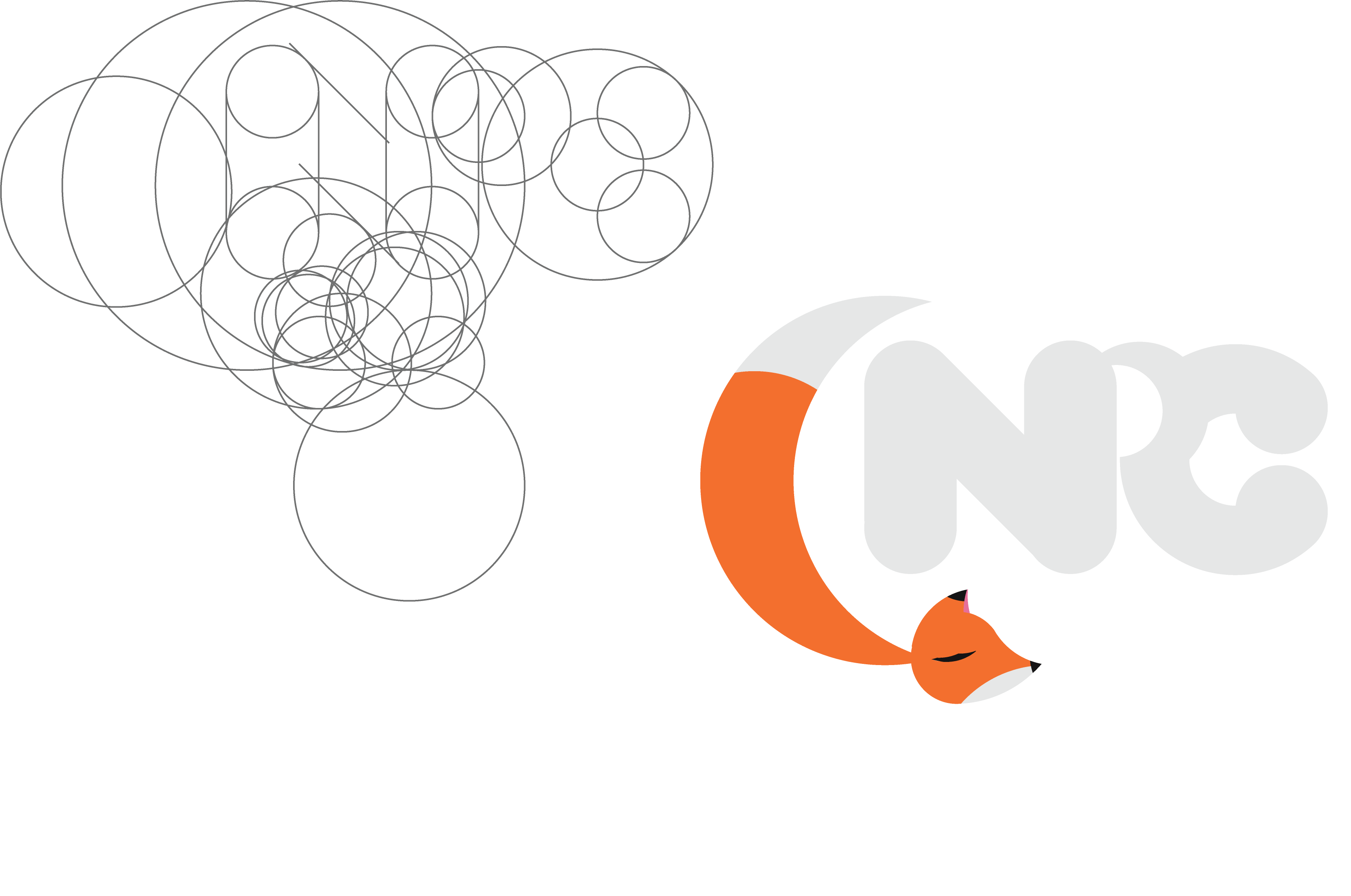 Fox Logo Construction